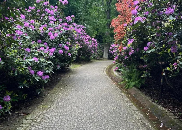 Spoko Przy Deptaku Szczawno-Zdroj